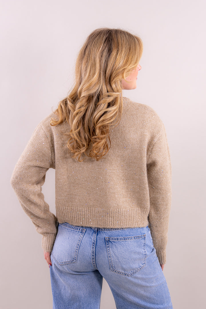 Flo Glitzer Strickpullover